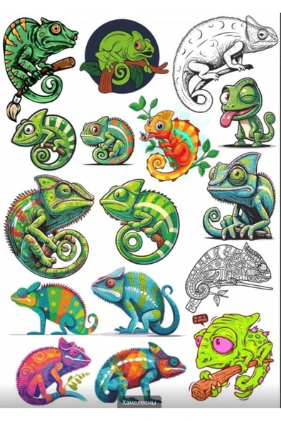 Bukalemun Sticker Set 2 ürün görseli 1