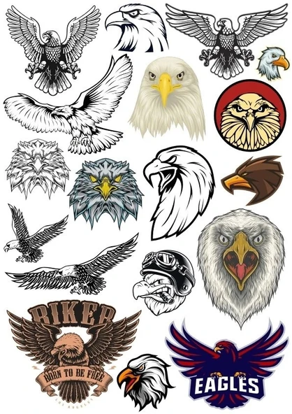 Kartal Sticker Set 5 20 Parça Telefon, Tablet, Defter, Laptop Sticker ürün görseli 1