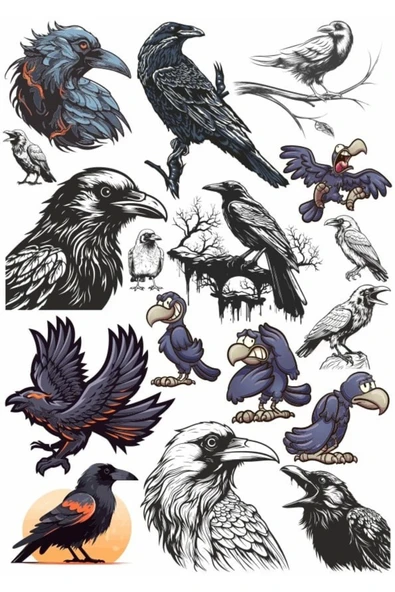 Kargalar Sticker Set 1 ürün görseli 1