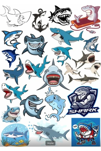 Köpek Balığı Sticker Set 1 ürün görseli 1