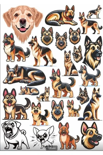 K9 Köpek Sticker Set 2 ürün görseli 1