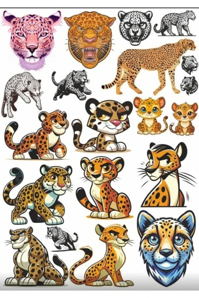 Leopar Sticker Set 3 ürün görseli 1