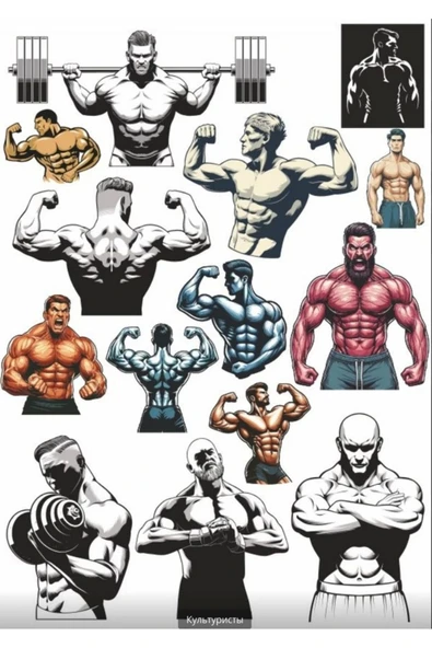 Gym Fittnes Sticker Set 2 ürün görseli 1