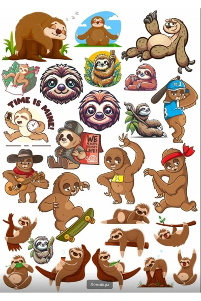 Koala Sticker Set 2 ürün görseli 1