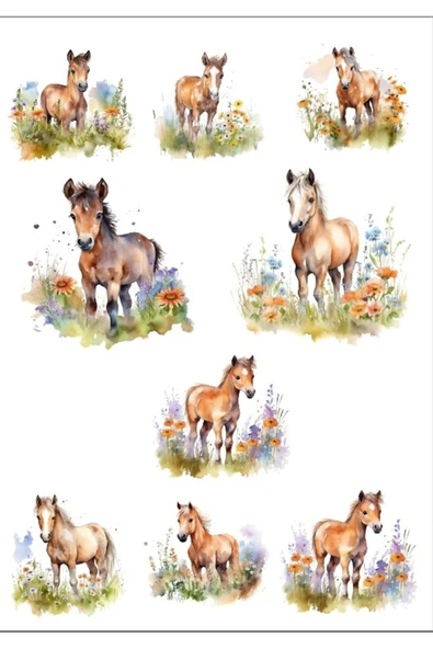 Atlar Sticker Set ürün görseli 1