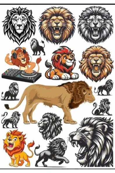 Kızgın Aslan Sticker Set 3 ürün görseli 1