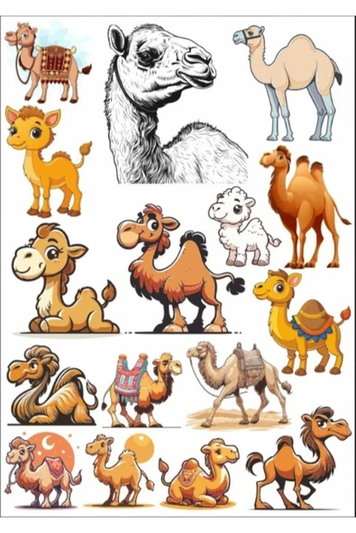 Deve Sticker Set 3 ürün görseli 1