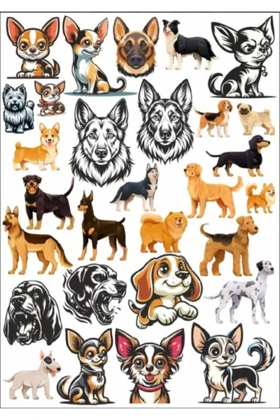 Sevimli Köpek Sticker Set 3 ürün görseli 1