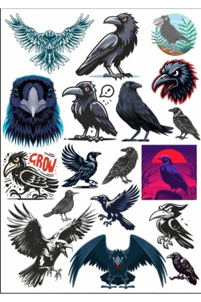 Crow Karga Sticker Set ürün görseli 1