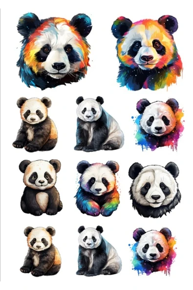 Renkli Panda Sticker Set 1 ürün görseli 1