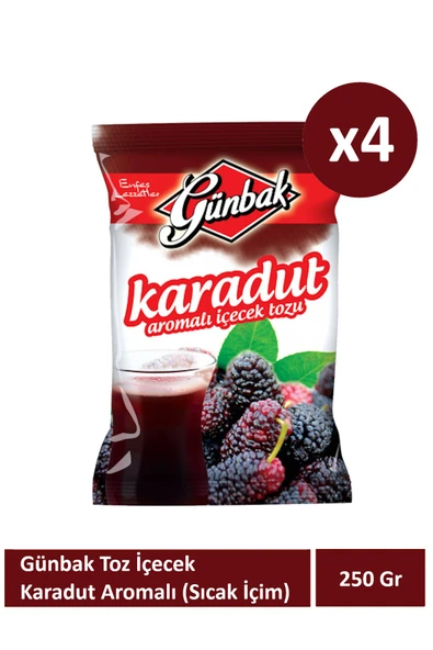 Günbak 250 Karadut Aromalı Toz İçecek x 4 Adet ürün görseli 1