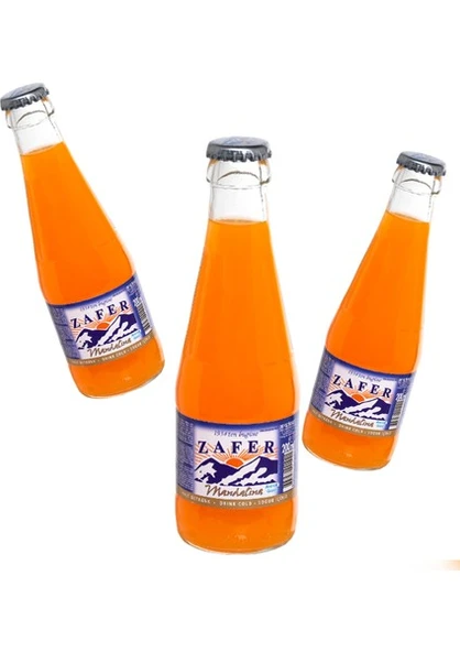 Zafer Gazoz 24 x 200ML Meyveli ürün görseli 1