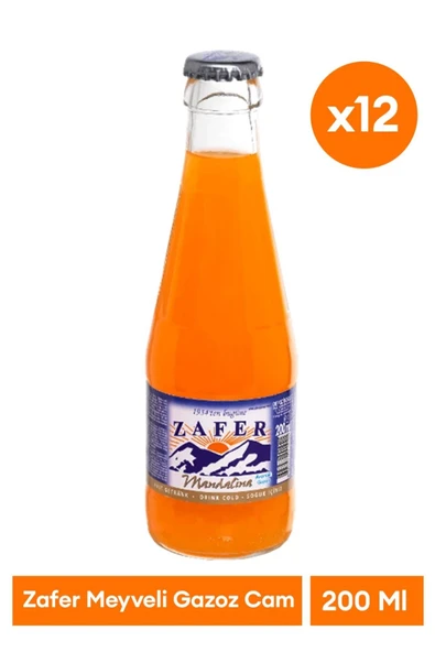 Zafer Gazoz Meyveli 12x200ML ürün görseli 1