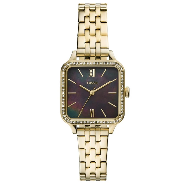 Fossil FBQ3917 Kadın Kol Saati ürün görseli 1
