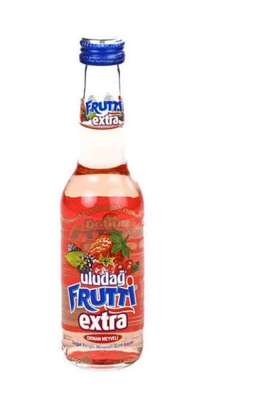 Uludağ Frutti Extra Orman Meyveli 250 Ml 6lı Paket ürün görseli 1