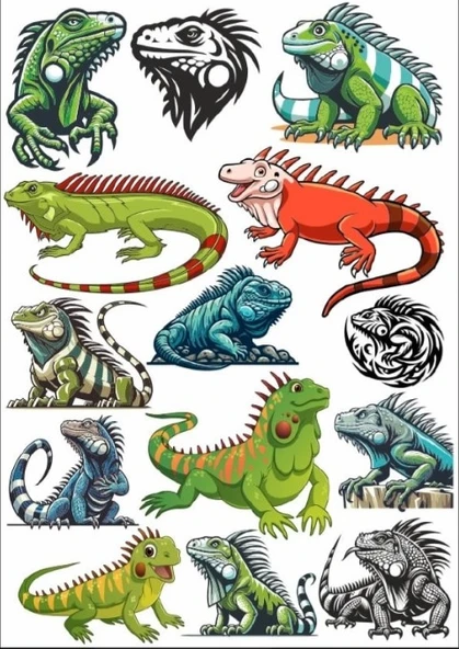 İguana Sticker Set ürün görseli 1