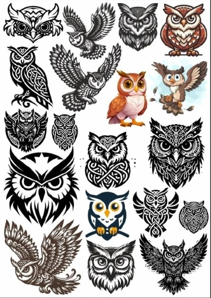 Baykuş Sticker Set ürün görseli 1