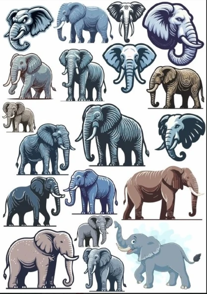Fil Sticker Set 4 ürün görseli 1