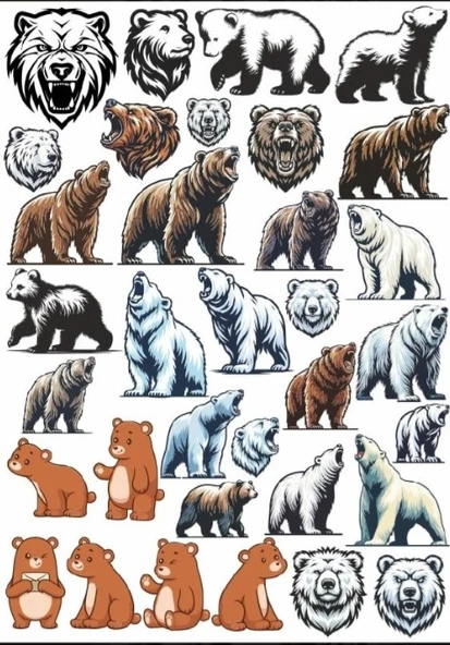 Ayı Sticker Set ürün görseli 1