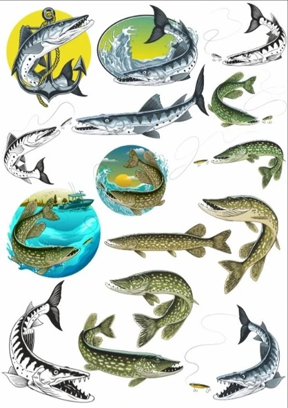 Balık Sticker Set ürün görseli 1