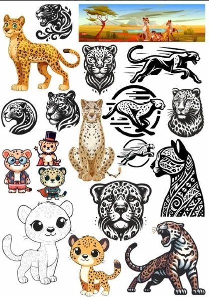 Kaplan Sticker Set 2 ürün görseli 1