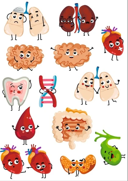 Sevimli Organlar Sticker SEt ürün görseli 1