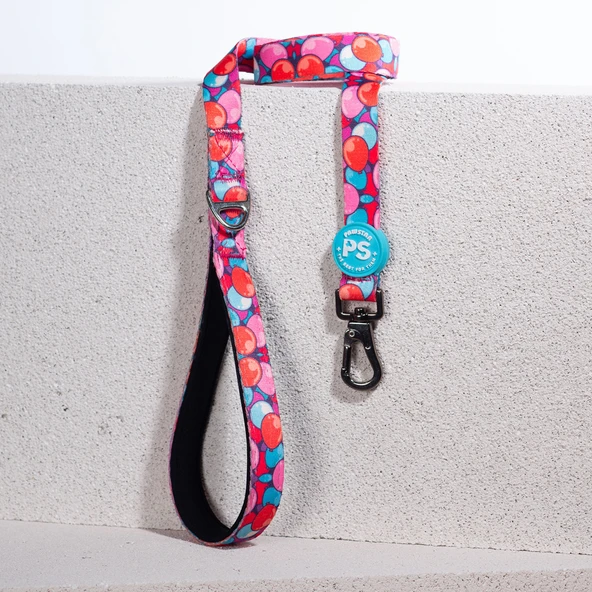 Pawstar Balloons Köpek Gezdirme Kayışı 120 cm x 2 cm ürün görseli 1