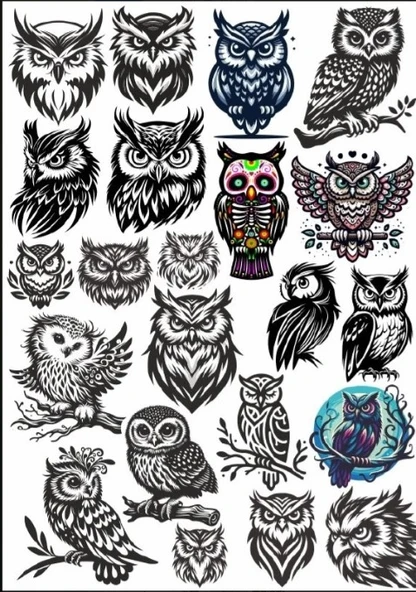 Baykuş Sticker Set ürün görseli 1