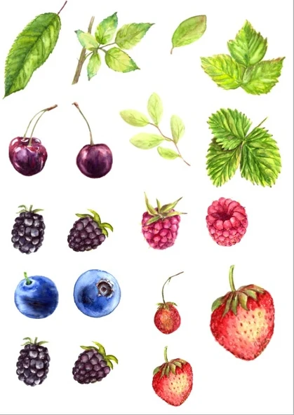 Meyveler Sticker SEt ürün görseli 1