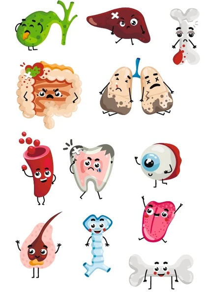 Sevimli Organlar Sticker SEt ürün görseli 1