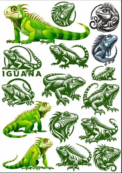 İguana Sticker Set ürün görseli 1
