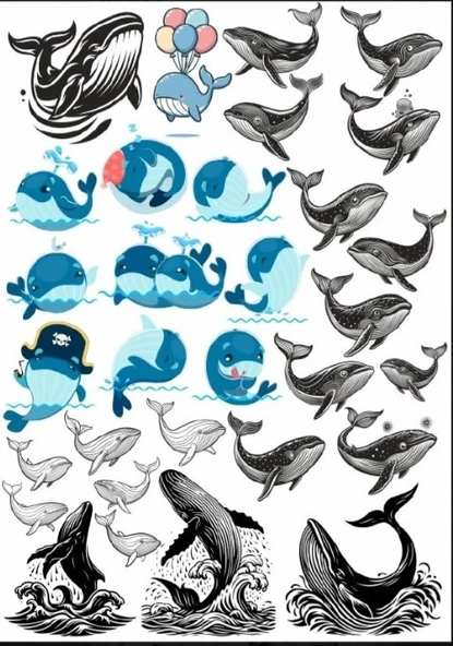Balina Sticker Set ürün görseli 1