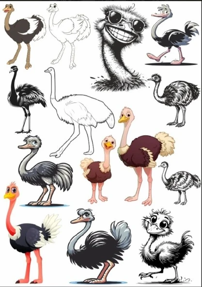 Deve Kuşu Sticker Set ürün görseli 1