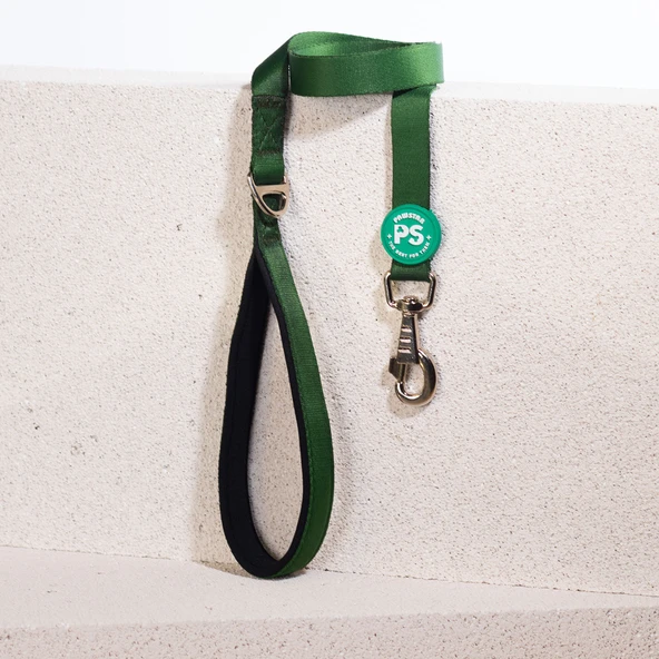 Pawstar Çam Yeşili Köpek Gezdirme Kayışı 120 cm x 2 cm ürün görseli 1