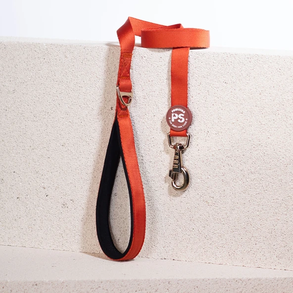 Pawstar Kiremit Köpek Gezdirme Kayışı 120 cm x 2 cm ürün görseli 1