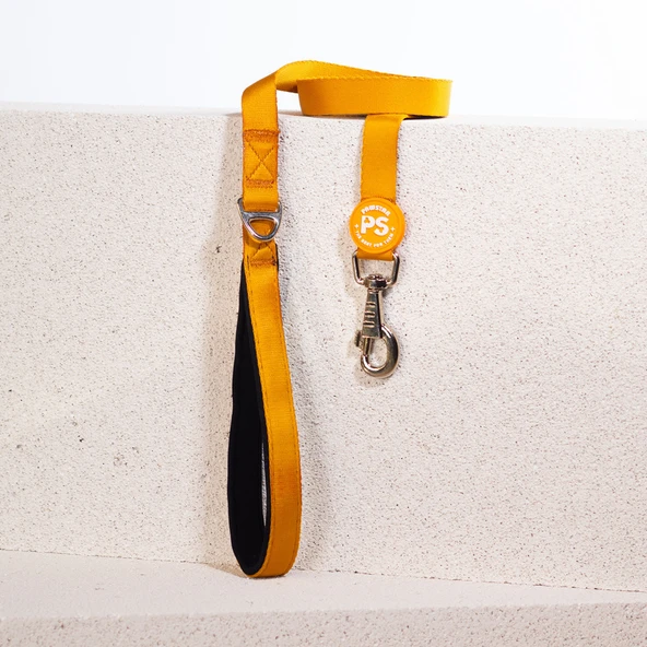 Pawstar Gold Köpek Gezdirme Kayışı 120 cm x 2 cm ürün görseli 1
