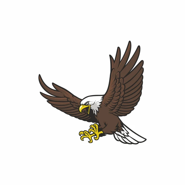 Uçan kartal 2Sticker 10x10 cmRenkli Sticker ürün görseli 1