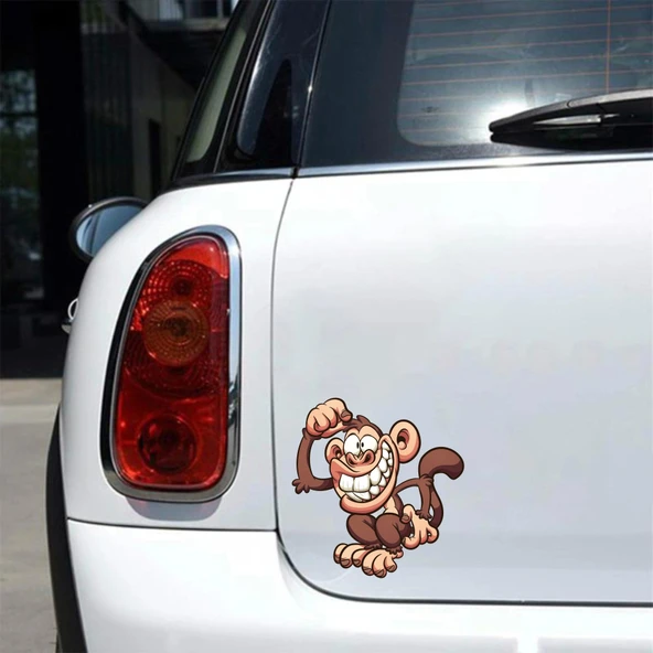 Maymun Sticker 10x10 cmRenkli Sticker - Resim 2