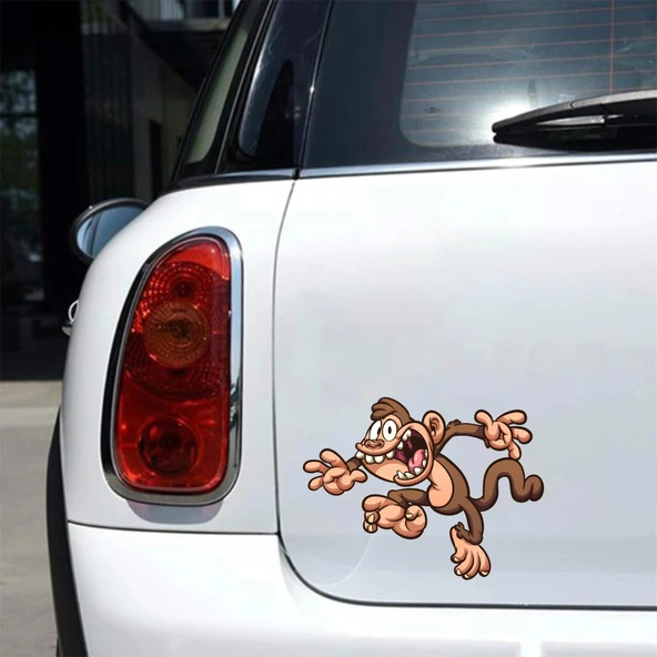 Maymun 2 Sticker 10x10 cmRenkli Sticker - Resim 2