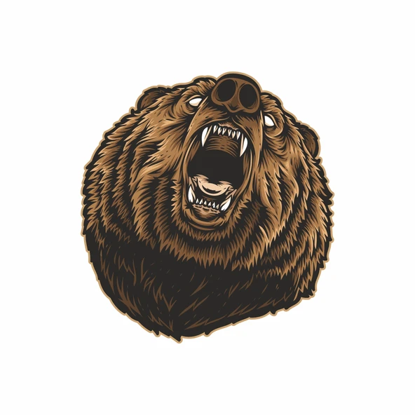 Kükreyen Ayı Sticker 2 10x10 cmRenkli Sticker ürün görseli 1