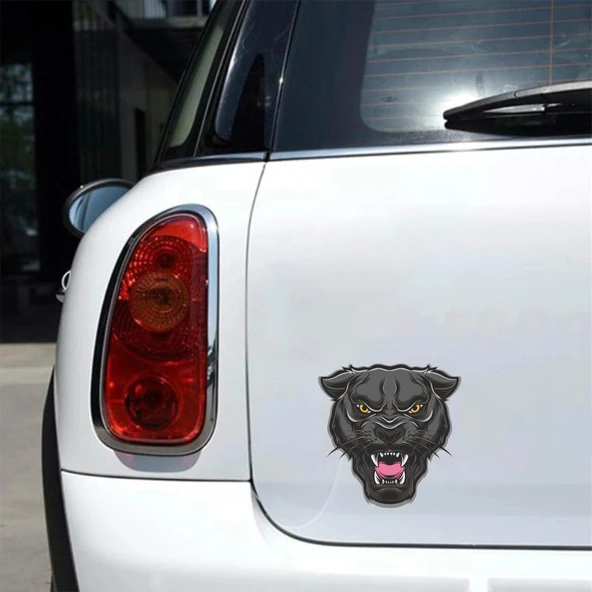 Kızgın Panter Sticker 10x10 cmRenkli Sticker - Resim 2