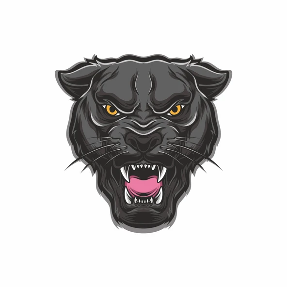 Kızgın Panter Sticker 10x10 cmRenkli Sticker ürün görseli 1