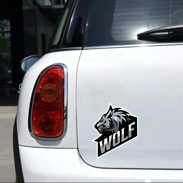 Kurt Sticker 5 10x10 cmRenkli Sticker - Resim 2