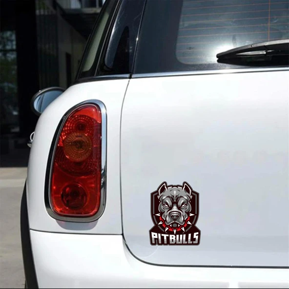 Pitbull Sticker 10x10 cmRenkli Sticker - Resim 2