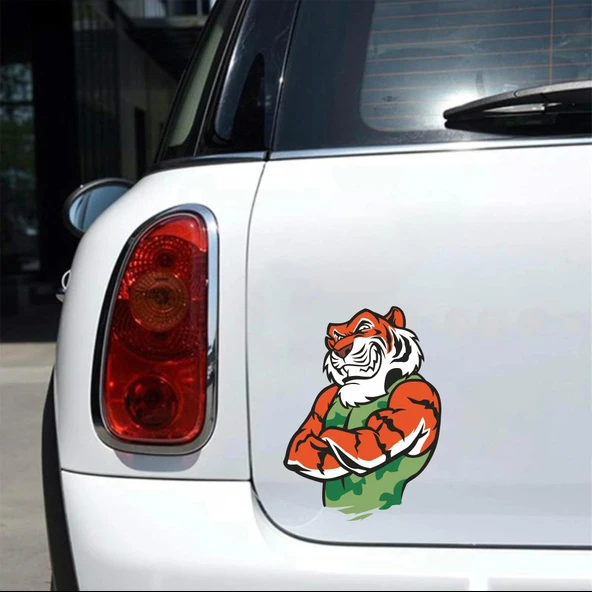 Kaplan Sticker 7 10x10 cmRenkli Sticker - Resim 2
