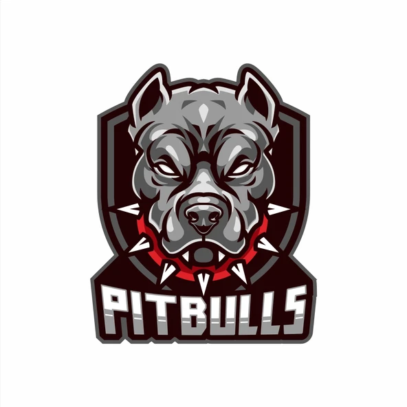 Pitbull Sticker 10x10 cmRenkli Sticker ürün görseli 1