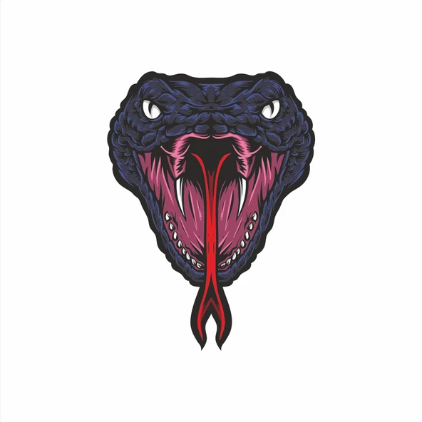 yILAN Sticker 10x10 cmRenkli Sticker ürün görseli 1