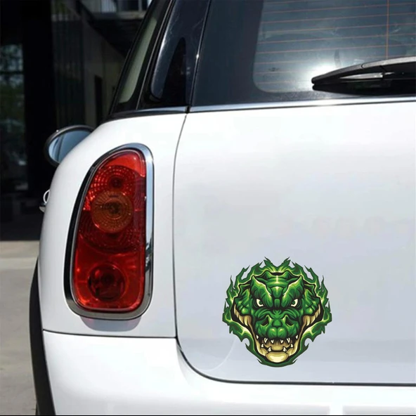 Timsah Sticker 10x10 cmRenkli Sticker - Resim 2