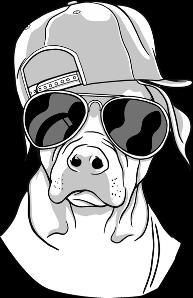 Güneş Gözlüklü Köpek Sticker 10x10 cmRenkli Sticker ürün görseli 1