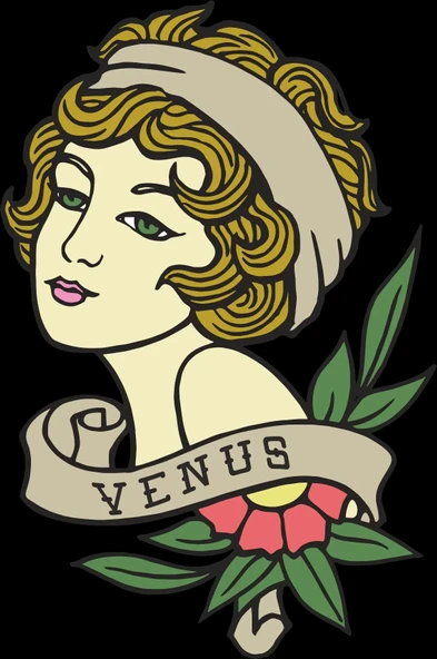 Venus Sticker 10x10 cmRenkli Sticker ürün görseli 1